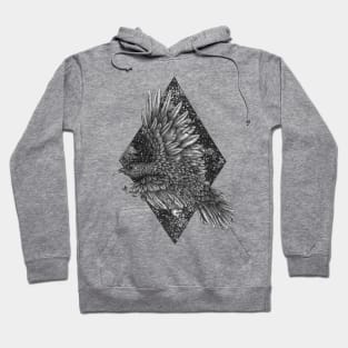 Cosmic Raven Hoodie